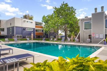 Hudson at highline apartments in denver, colorado pool with lounge chairs